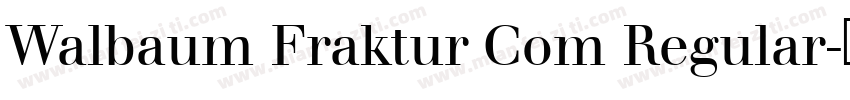 Walbaum Fraktur Com Regular字体转换